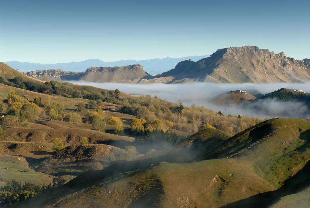 Cape South Estate - International Award-Winning Country Estate With Pacific Views Havelock North Dış mekan fotoğraf
